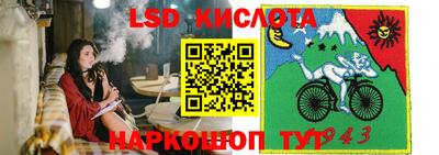 молекула духа Можга