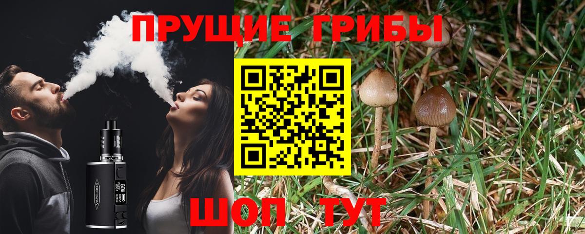 Псилоцибиновые грибы Psilocybine cubensis  Вход с VPN  Галлюциногенные грибы ЛСД  магазин продажи   Чапаевск 
